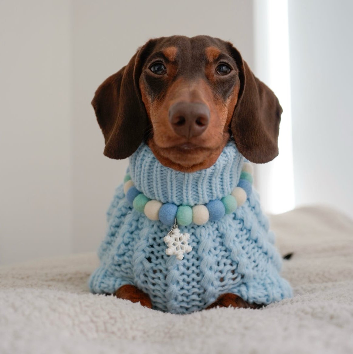 Ice Pup Christmas Pom Pom Collar