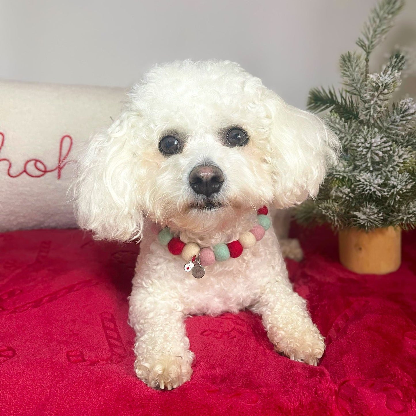 Candy Cane Kisses Christmas Pom Pom Collar