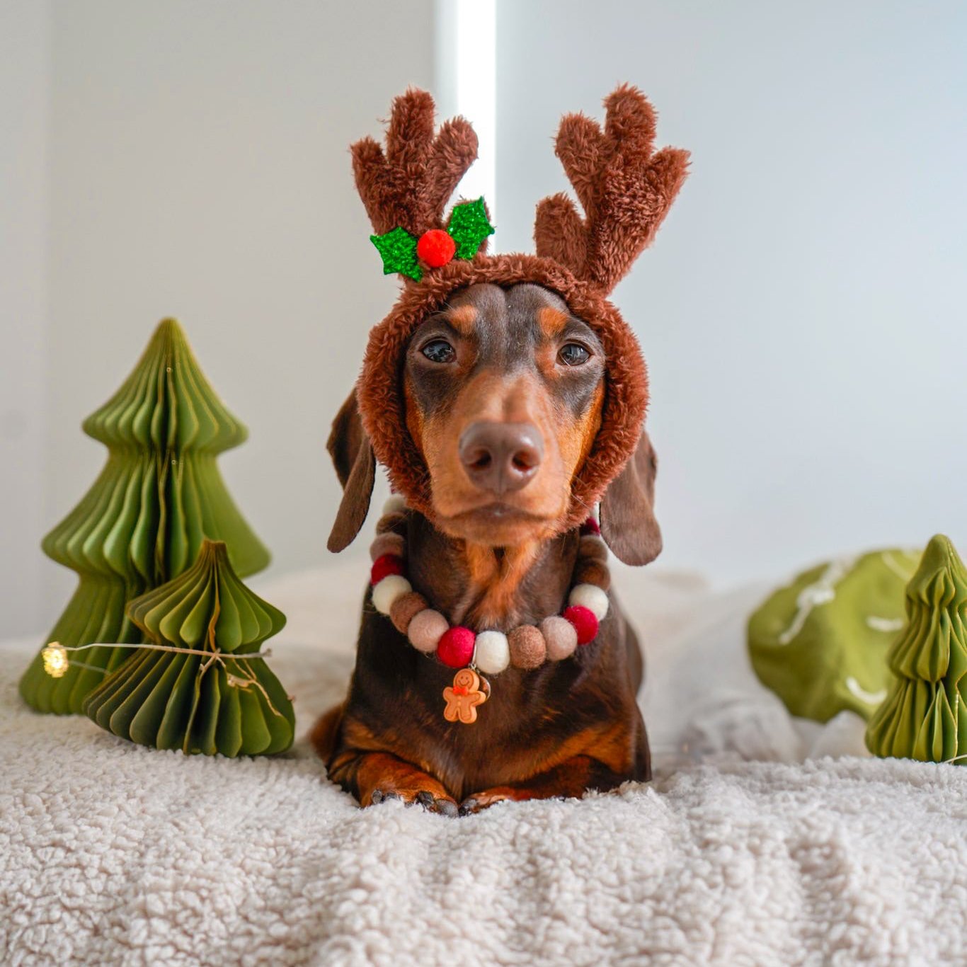 Rudolph Christmas Pom Pom Collar