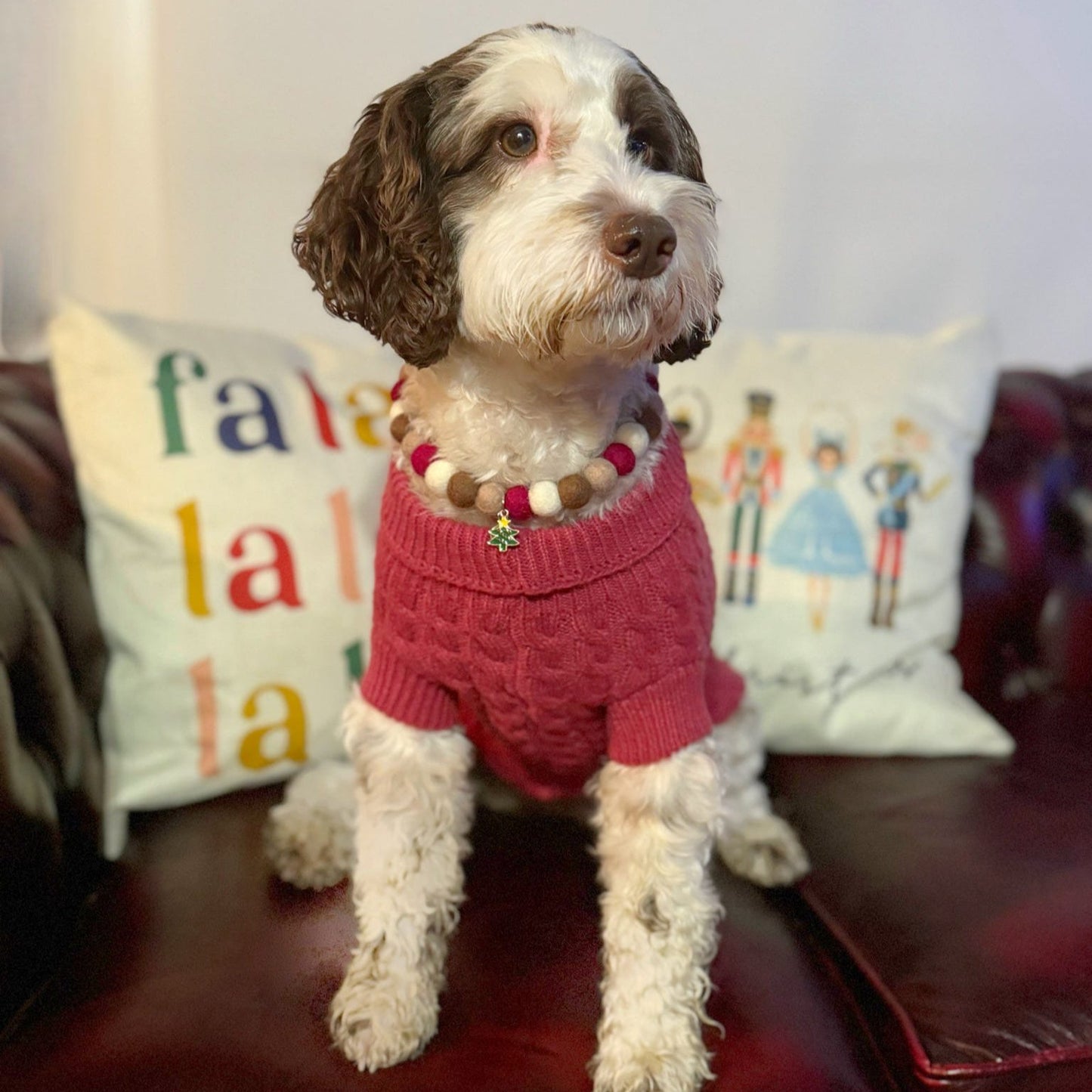 Rudolph Christmas Pom Pom Collar