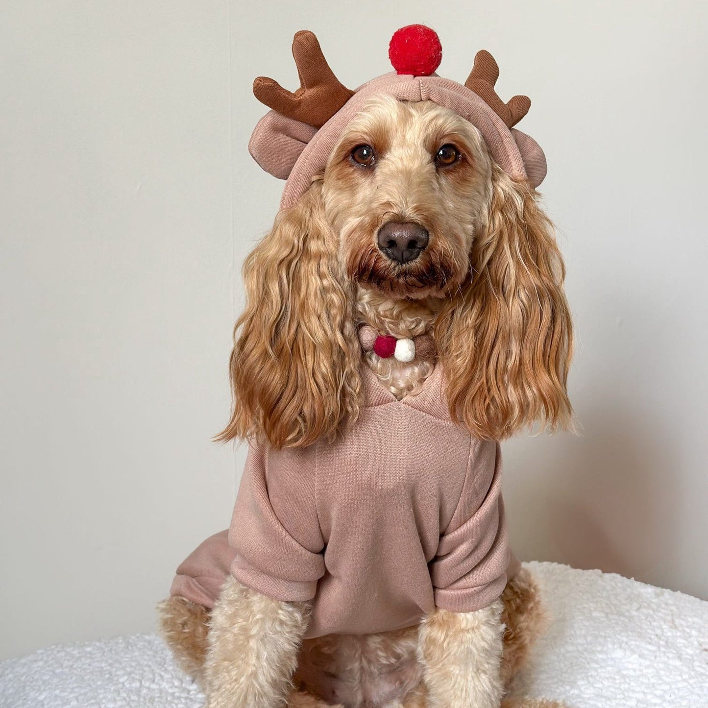 Rudolph Christmas Pom Pom Collar