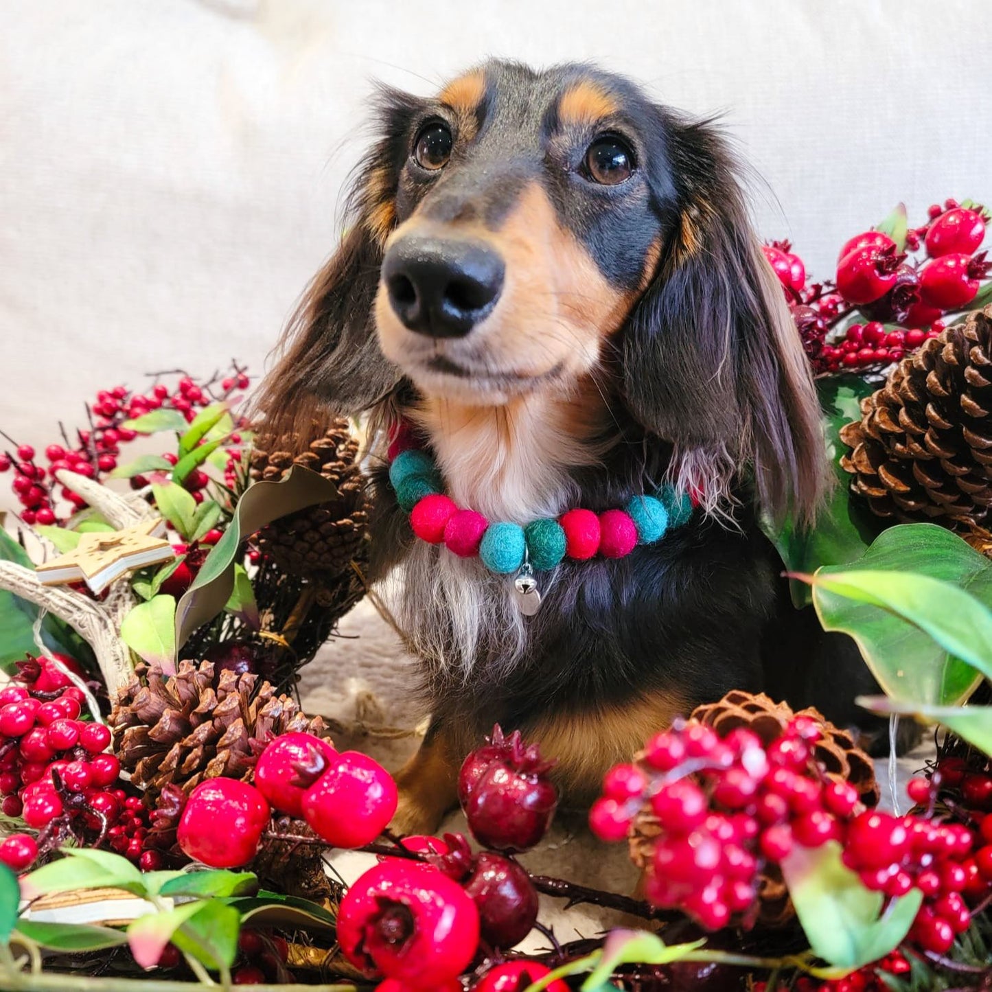 Christmas Wishes Christmas Pom Pom Collar