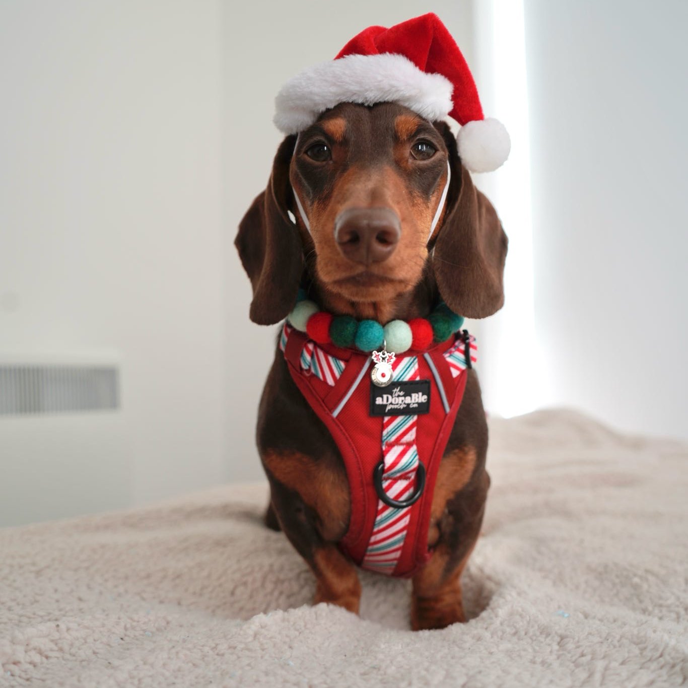 Holly & Ivy Christmas Pom Pom Collar