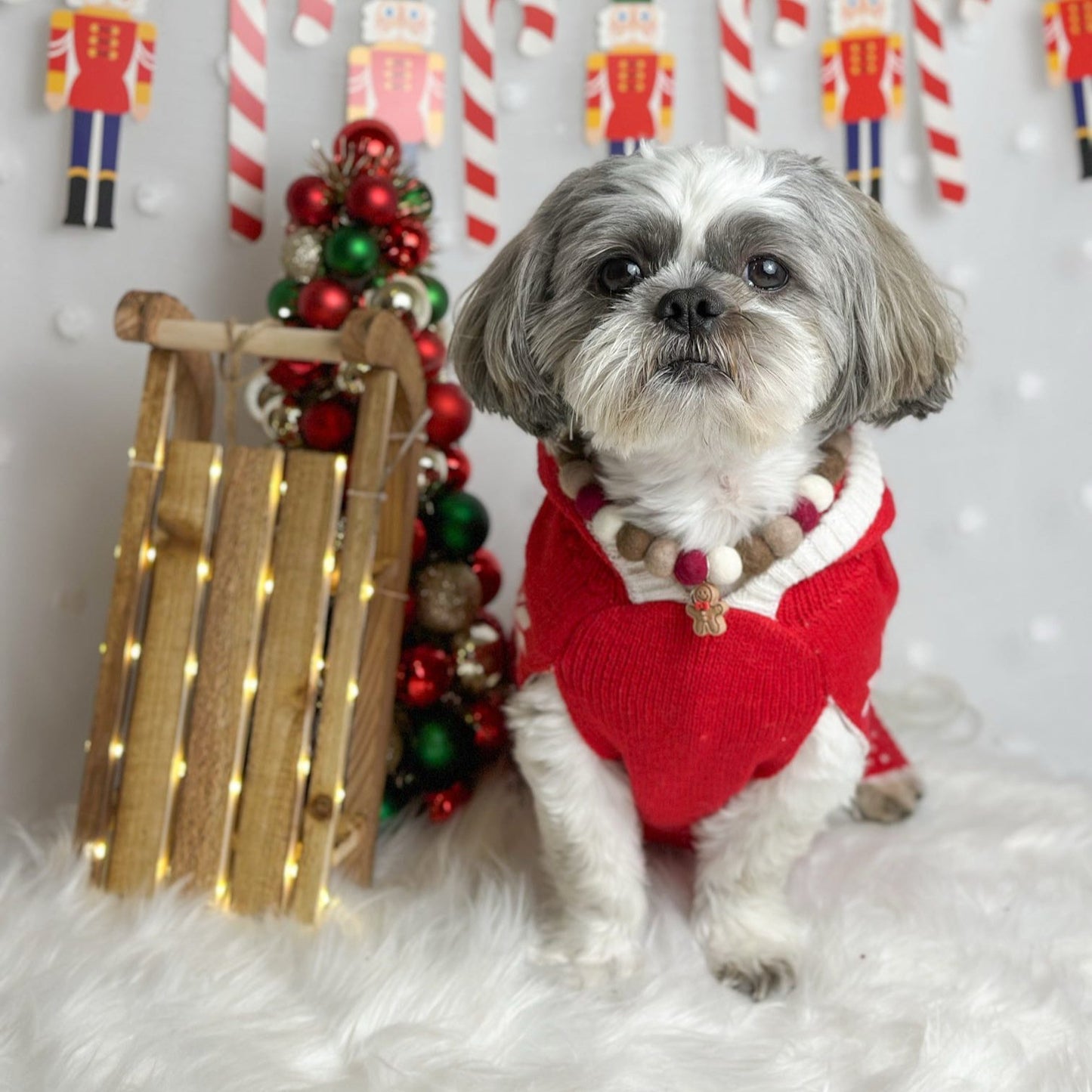 Rudolph Christmas Pom Pom Collar