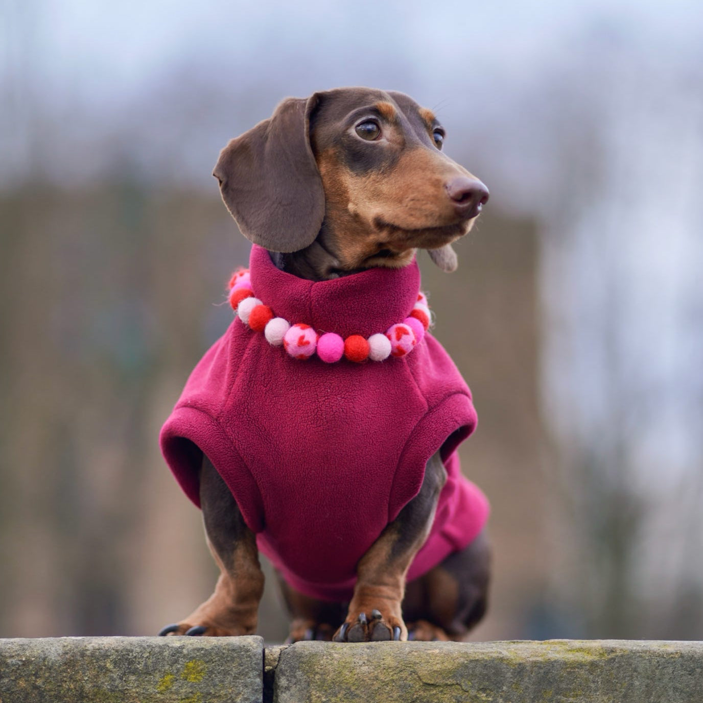 Heart Flutter Pom Pom Collar