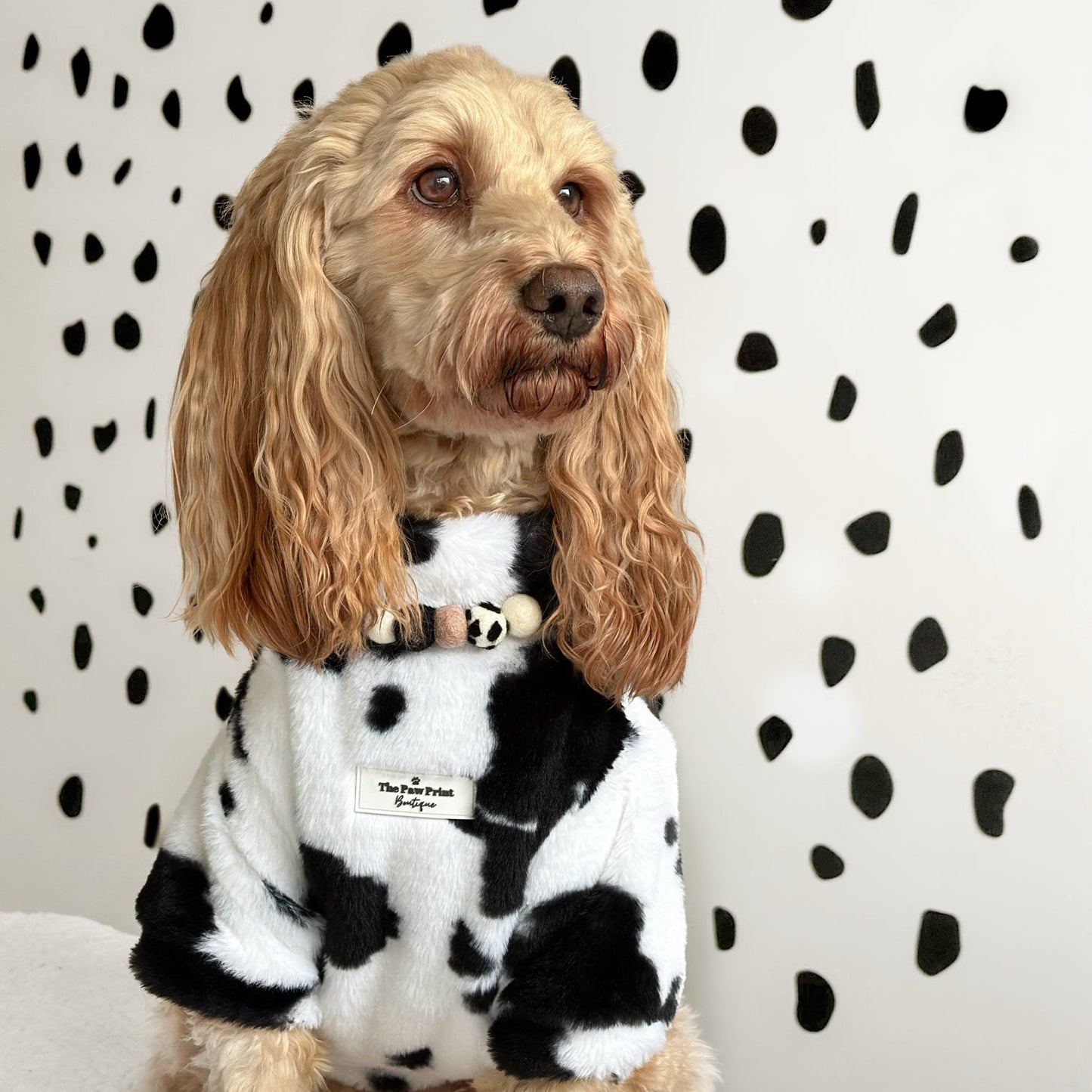 Cow Print Pom Pom Collar