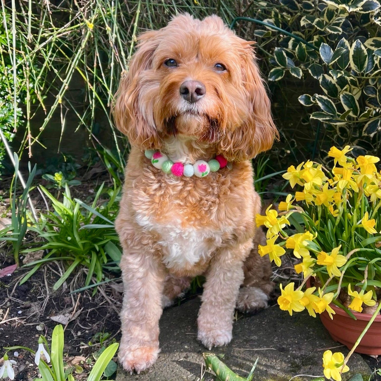 Tulip Field Pom Pom Collar