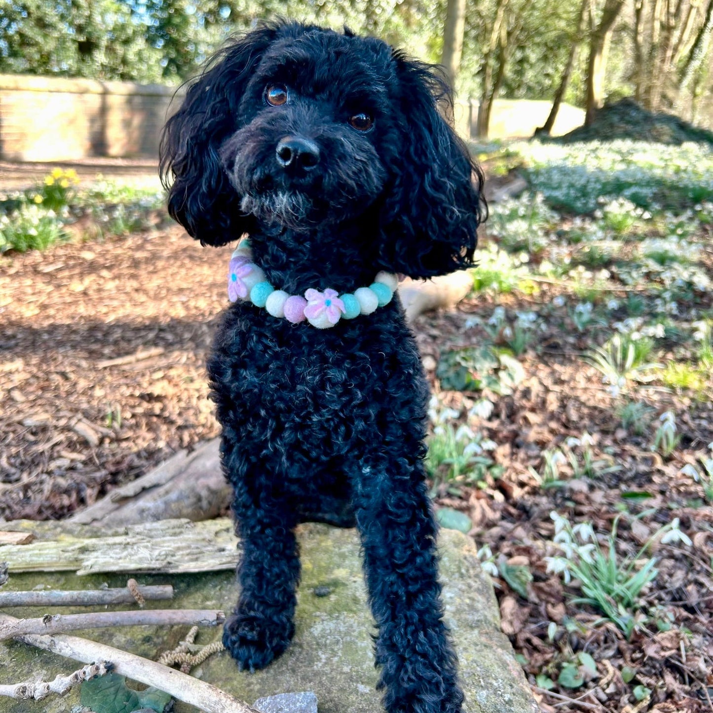 Cherry Blossom Pom Pom Collar