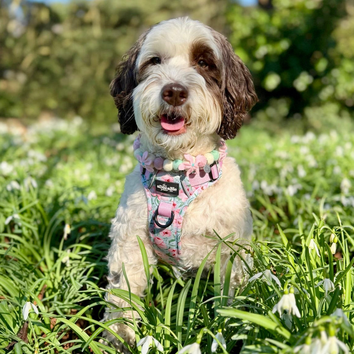 Cherry Blossom Pom Pom Collar