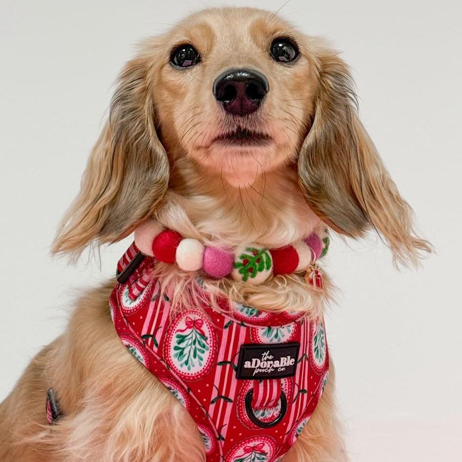 Mistletoe Kisses Christmas Pom Pom Collar