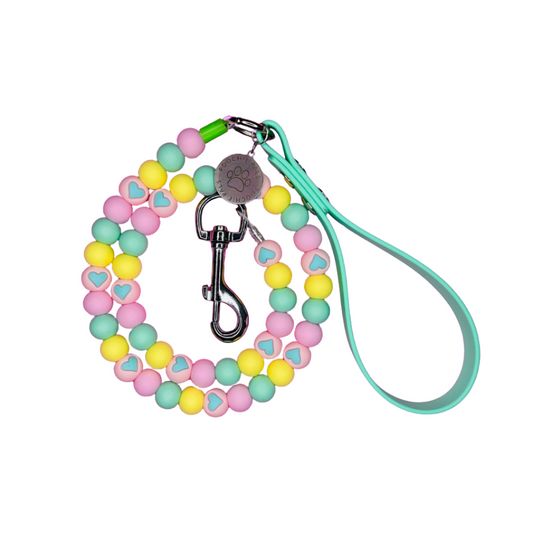 Sweet Love Biothane Dog Lead