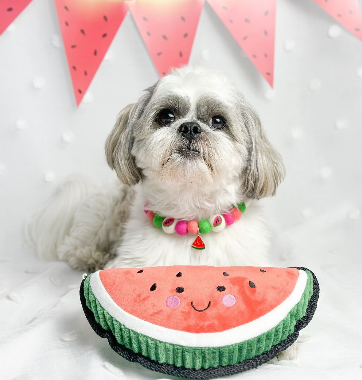 Watermelon Heaven Fruit Pom Pom Collar