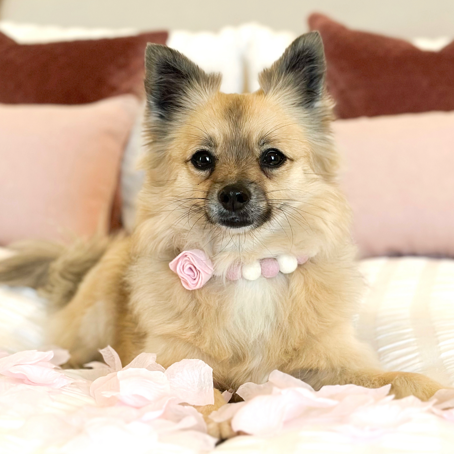 Pink Rose Pom Pom Collar