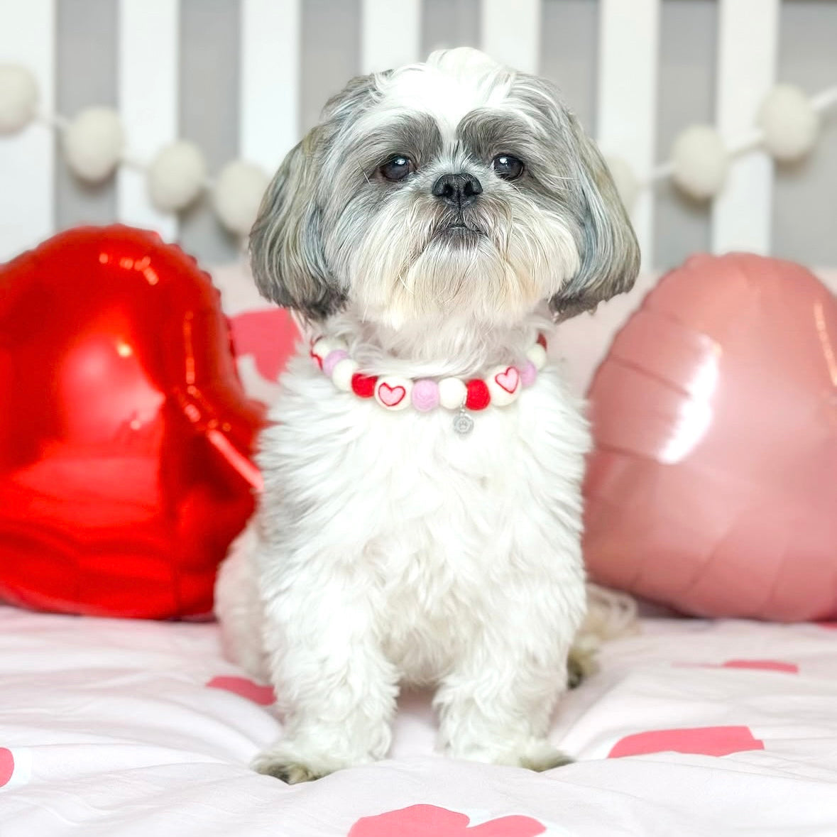 Crazy In Love Pom Pom Collar