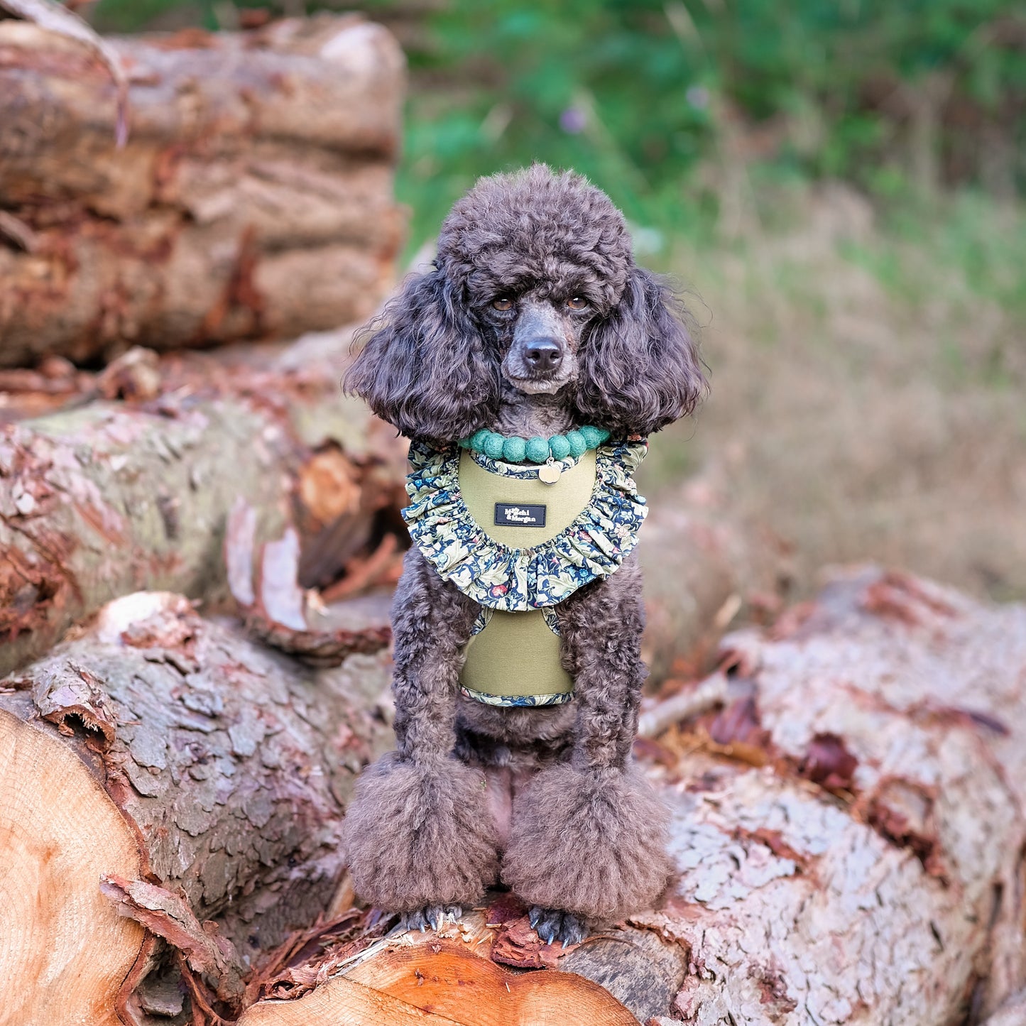 Emerald Autumn Pom Pom Collar