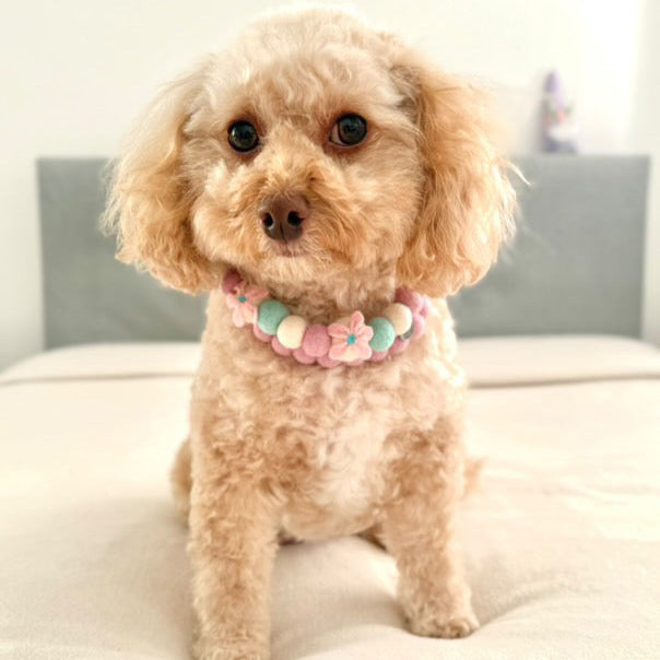 Cherry Blossom Pom Pom Collar