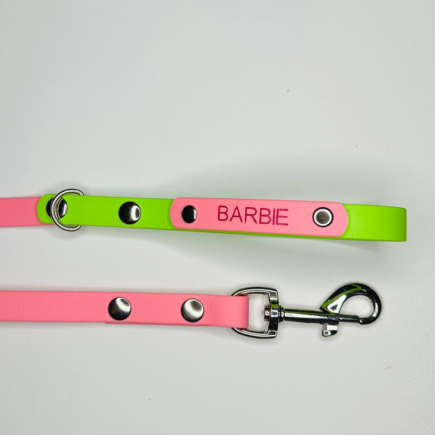 Custom Biothane Dog Lead