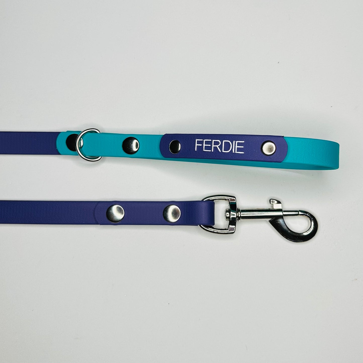 Custom Biothane Dog Lead