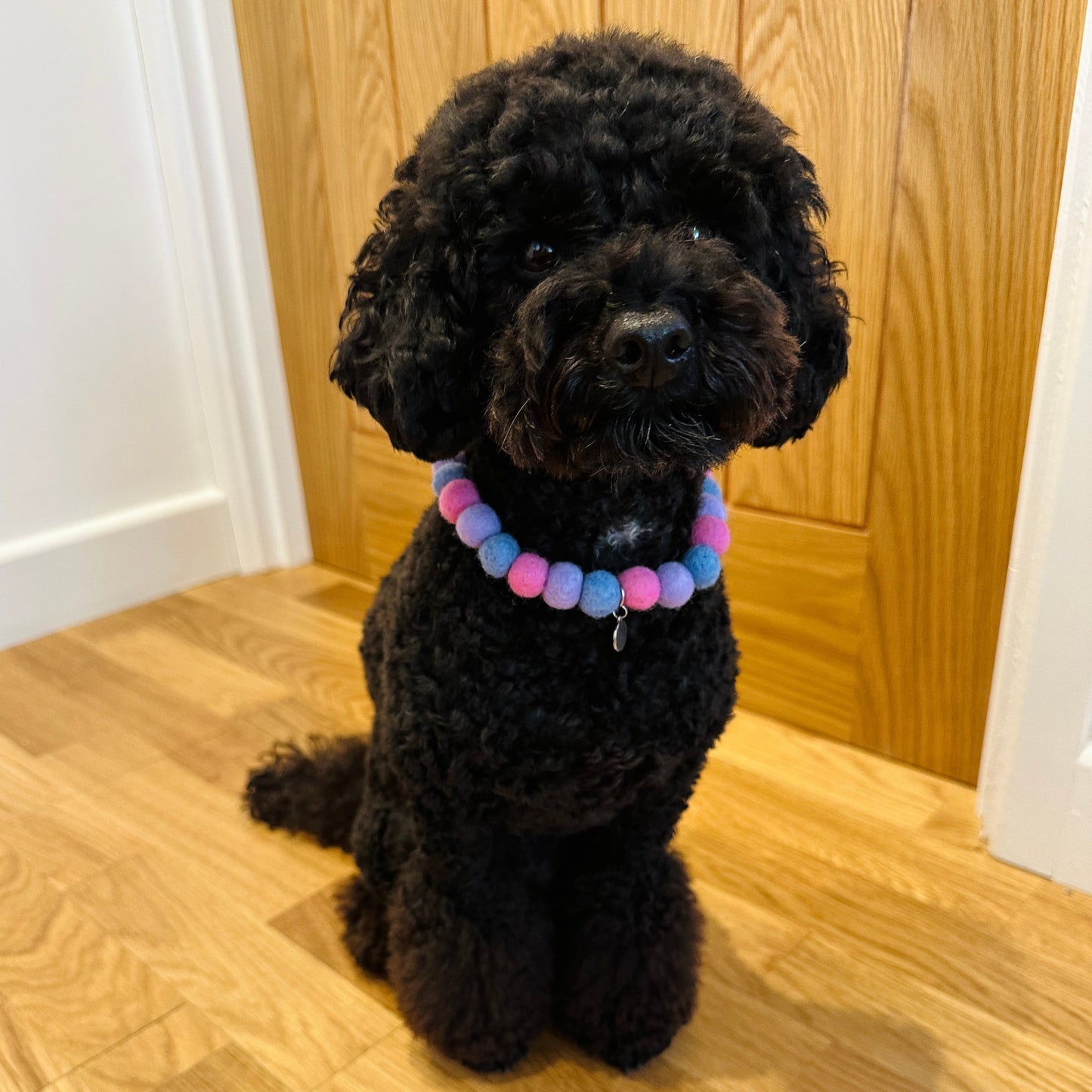 The Poochie Pals Pom Pom Collar