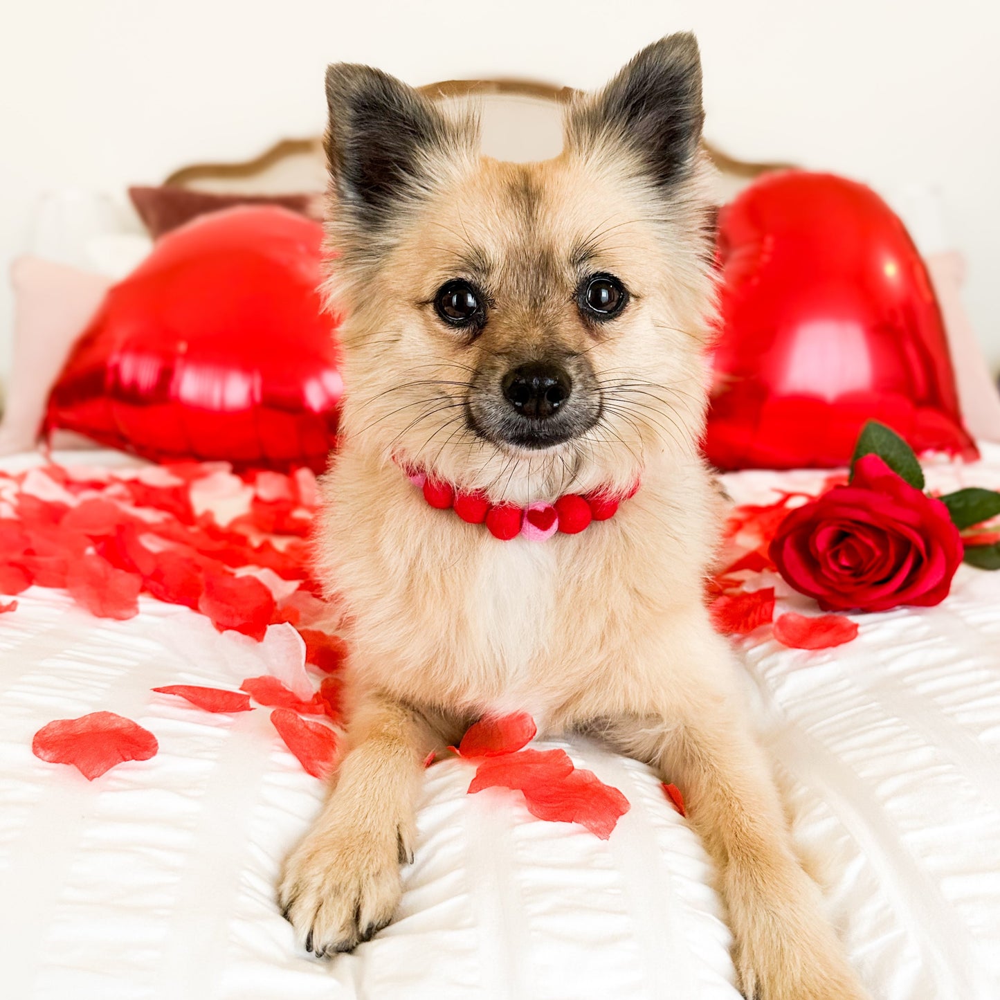 Romance Pom Pom Collar