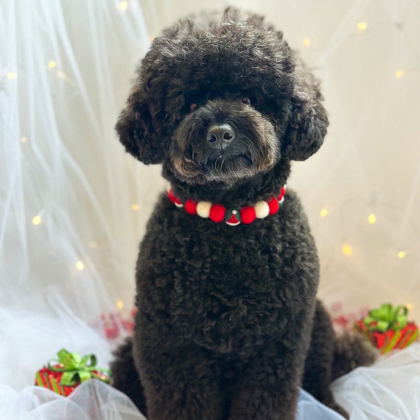 Ho Ho Ho Christmas Pom Pom Collar