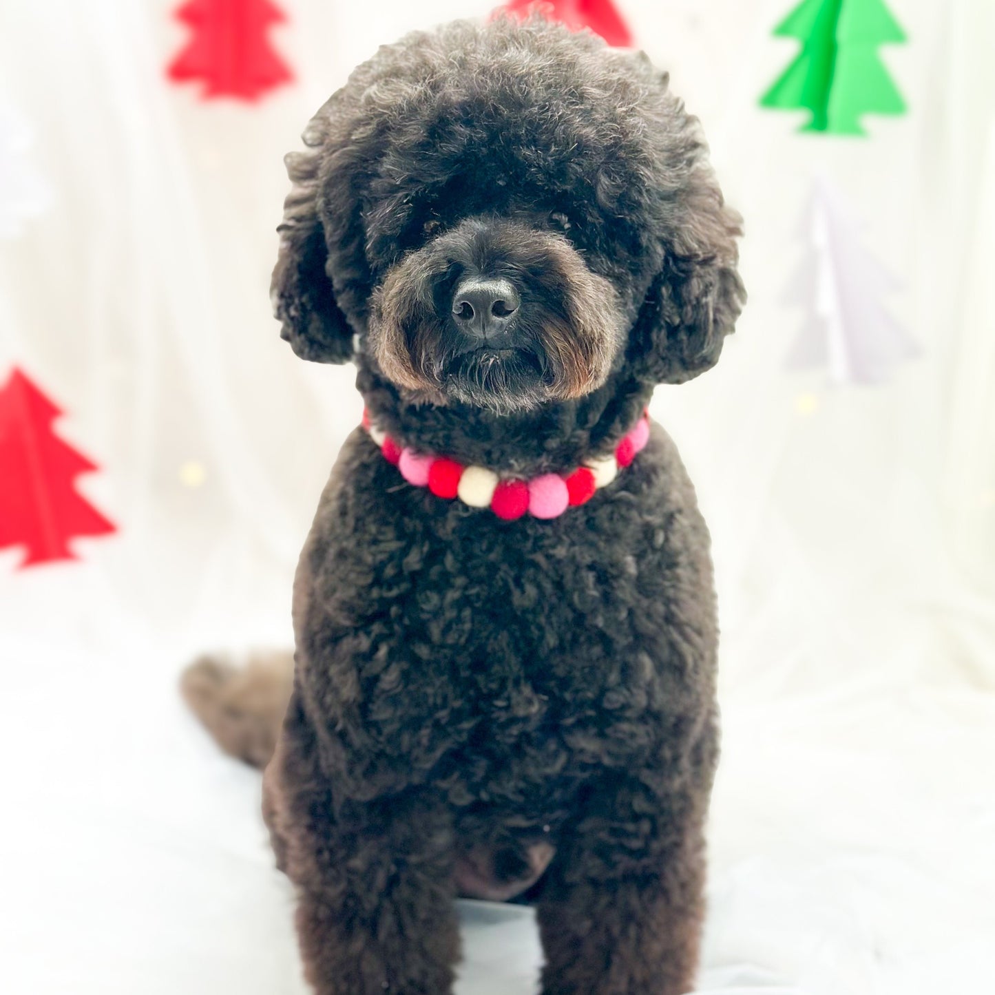 Fa La La La La Christmas Pom Pom Collar