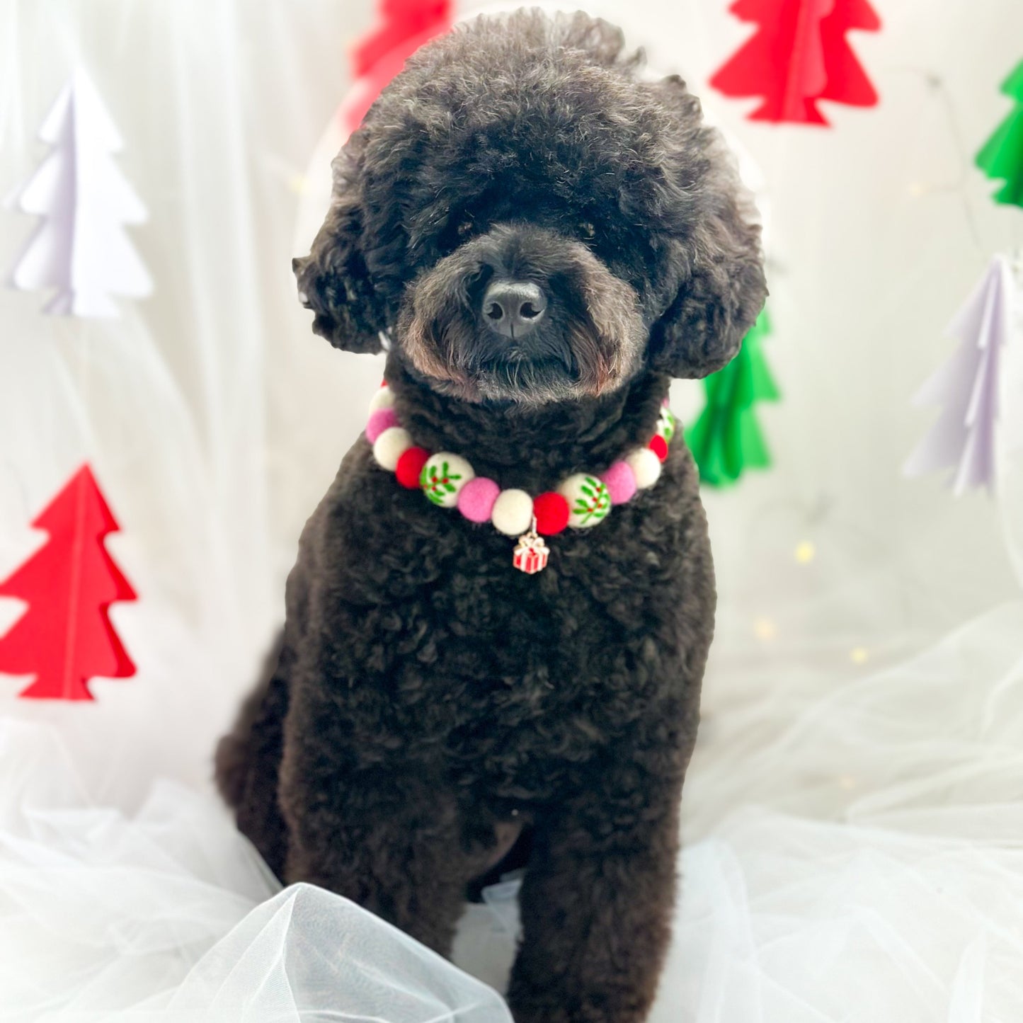 Mistletoe Kisses Christmas Pom Pom Collar