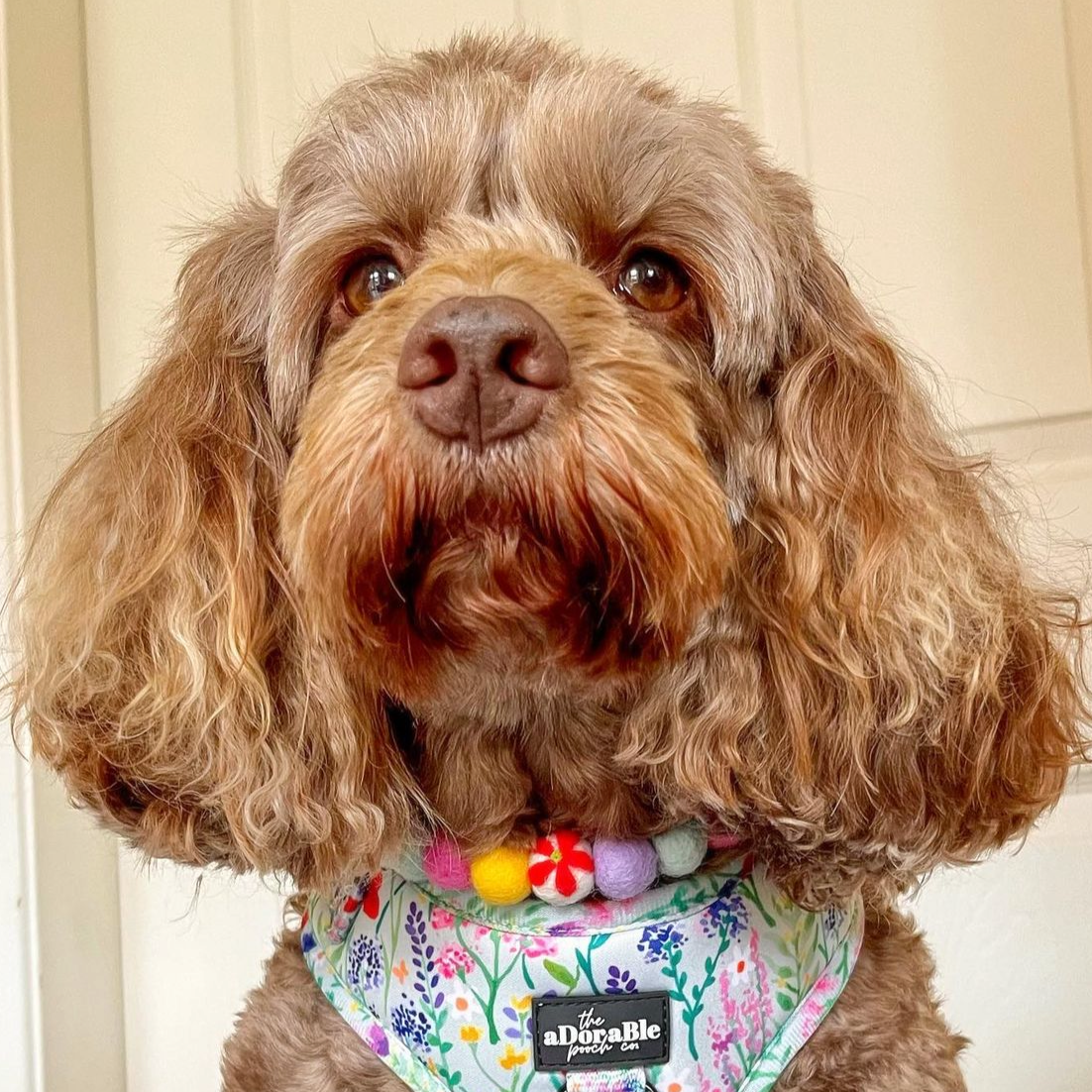 Field of Flowers Pom Pom Collar