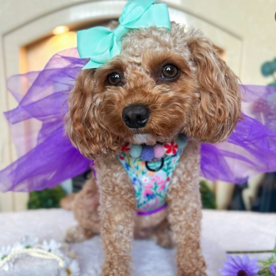 Field of Flowers Pom Pom Collar