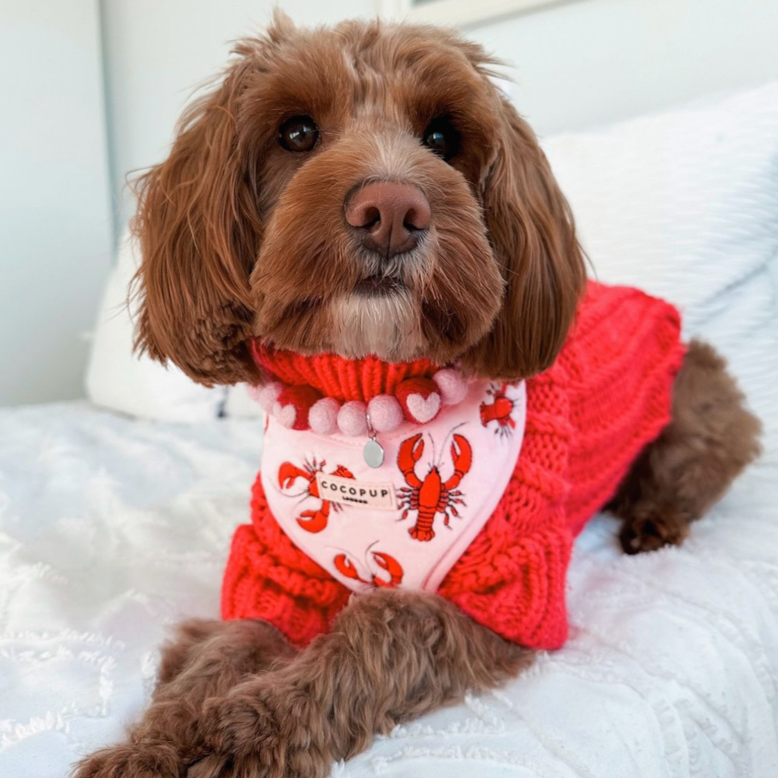 Love Story Pom Pom Collar