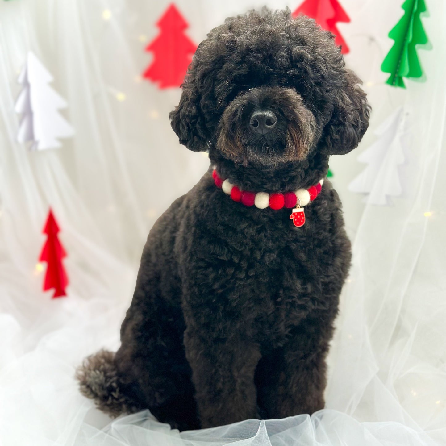 Santa Paws Christmas Pom Pom Collar