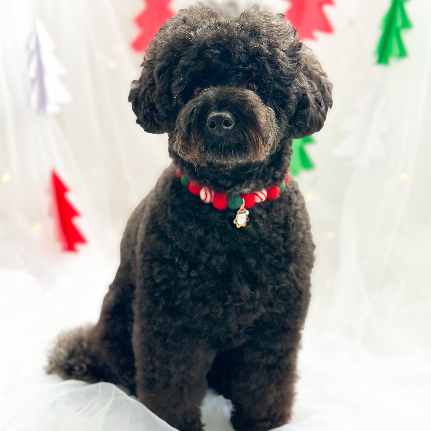 Sleigh All Day Christmas Pom Pom Collar