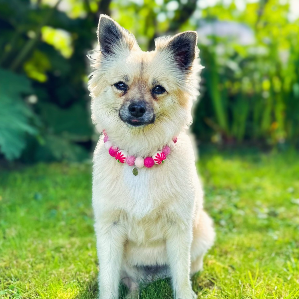 Cornish Wild Flower Pom Pom Collar