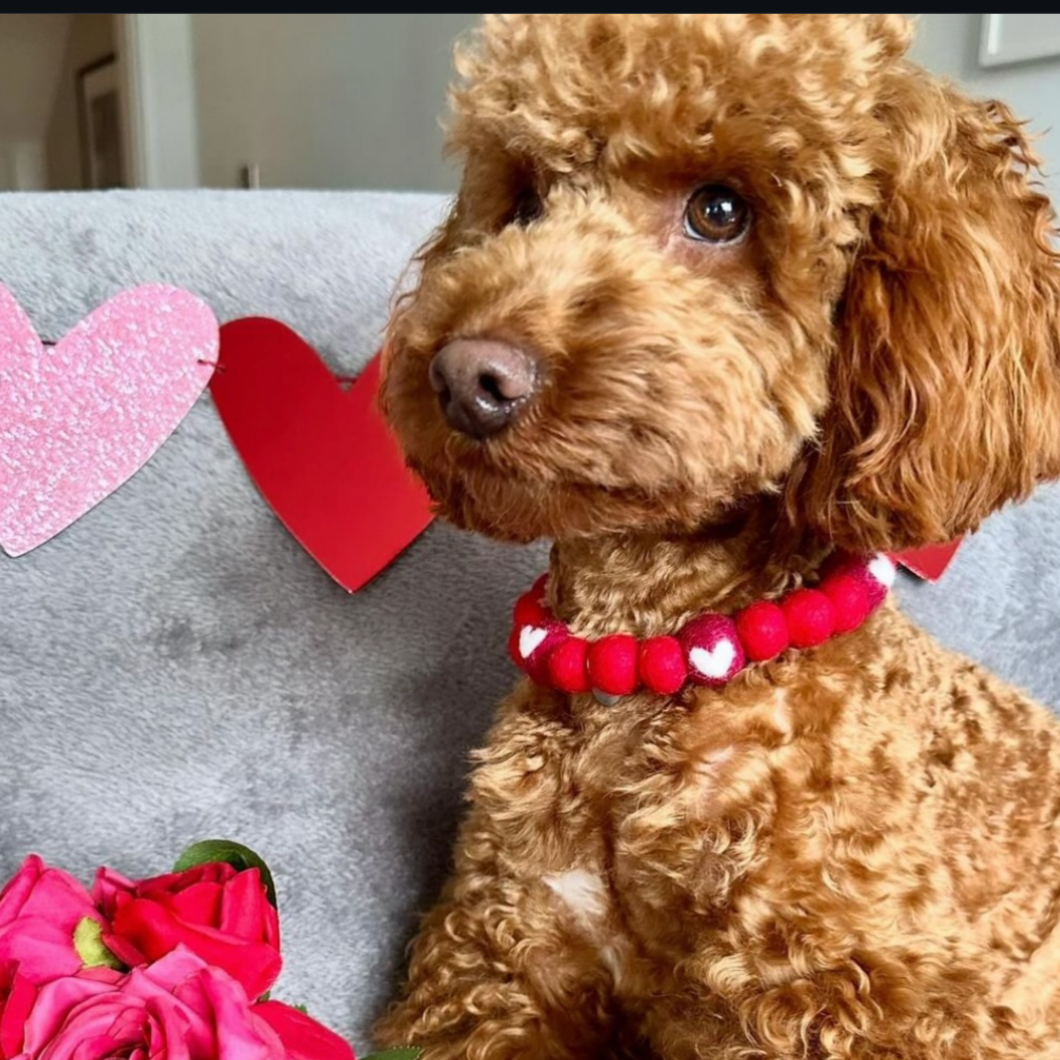 Love Pom Pom Collar