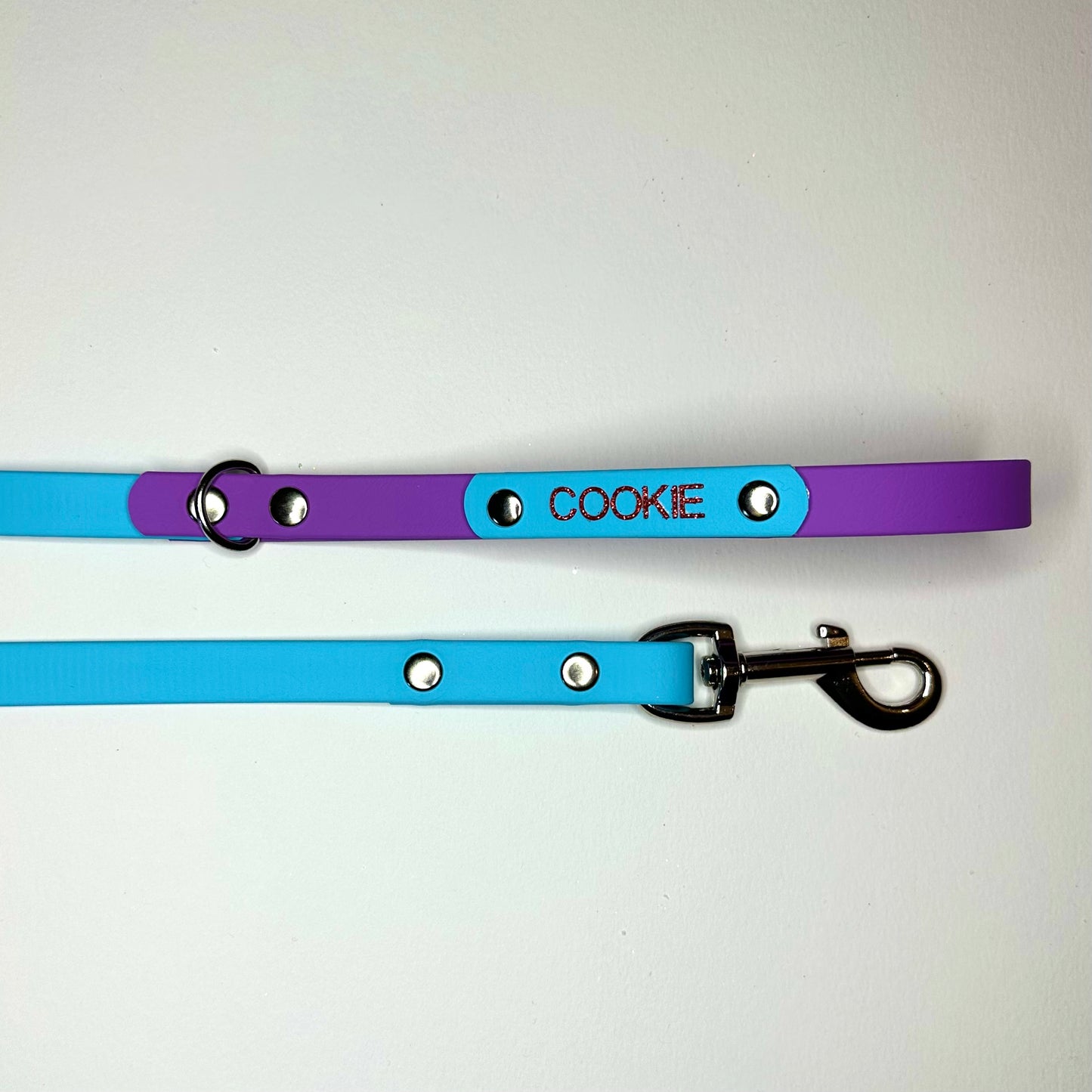 Custom Biothane Dog Lead