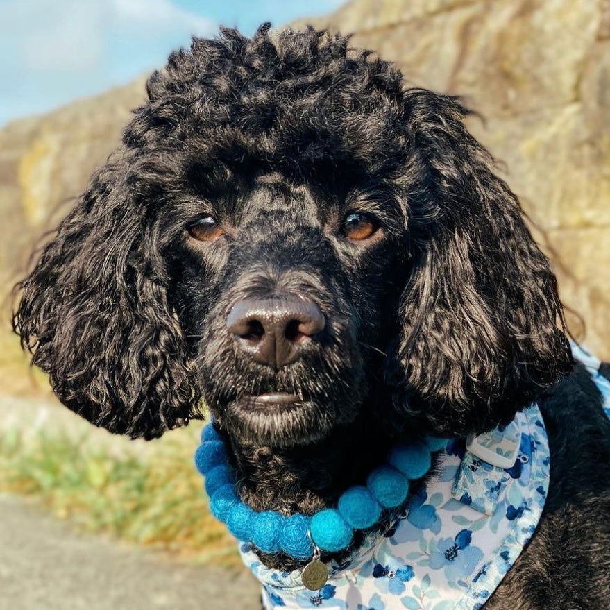 Neptune Pom Pom Collar