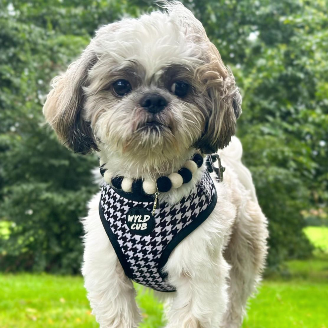 Black and White Pet Pom Pom Collar Necklace