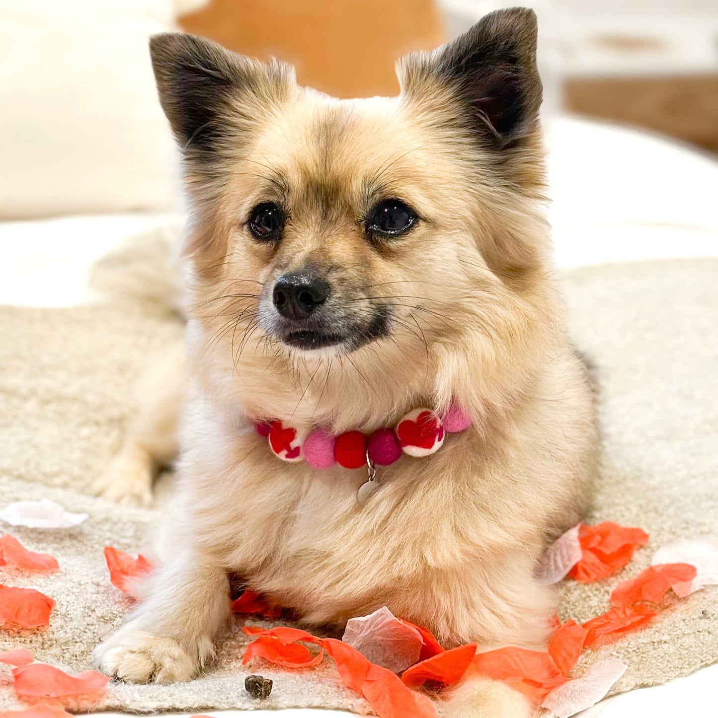 Cupid Pom Pom Collar