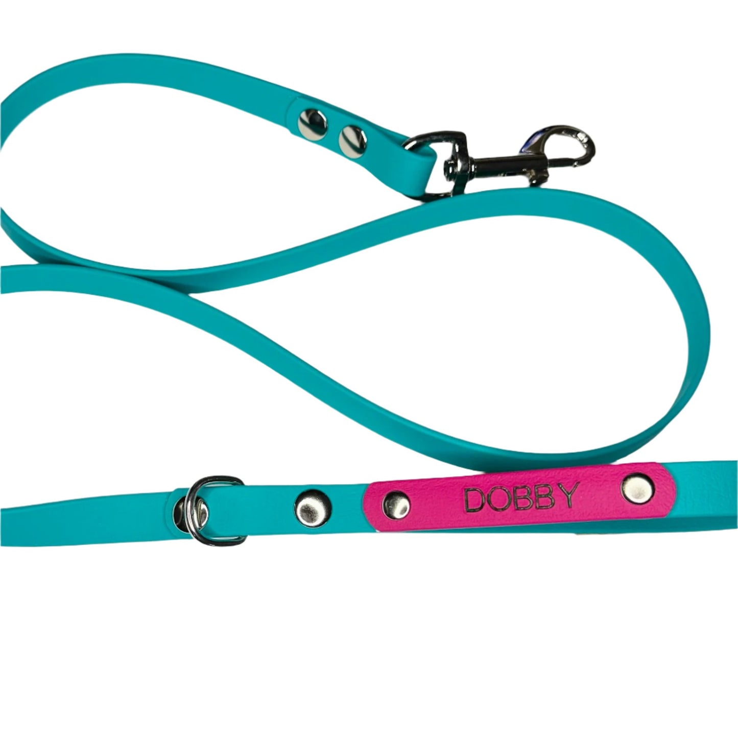 Custom Biothane Dog Lead