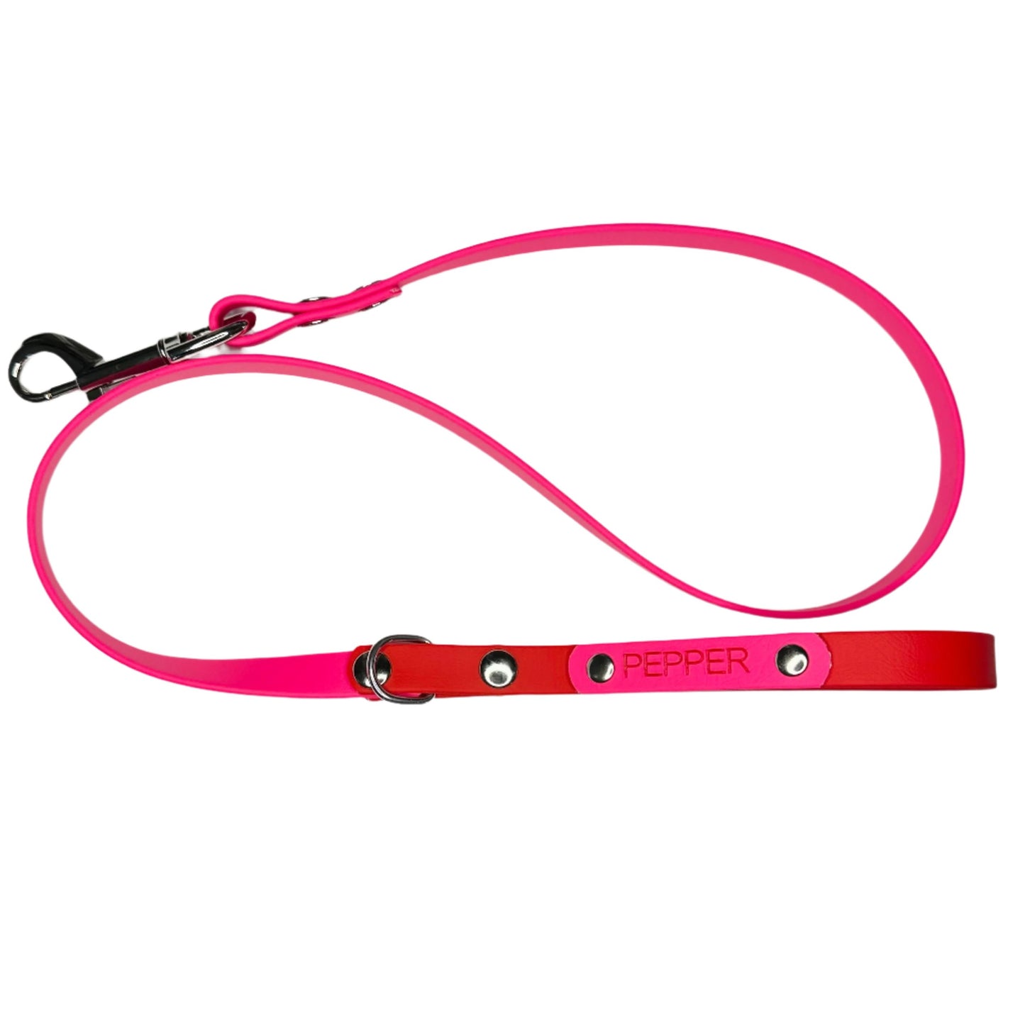 Custom Biothane Dog Lead