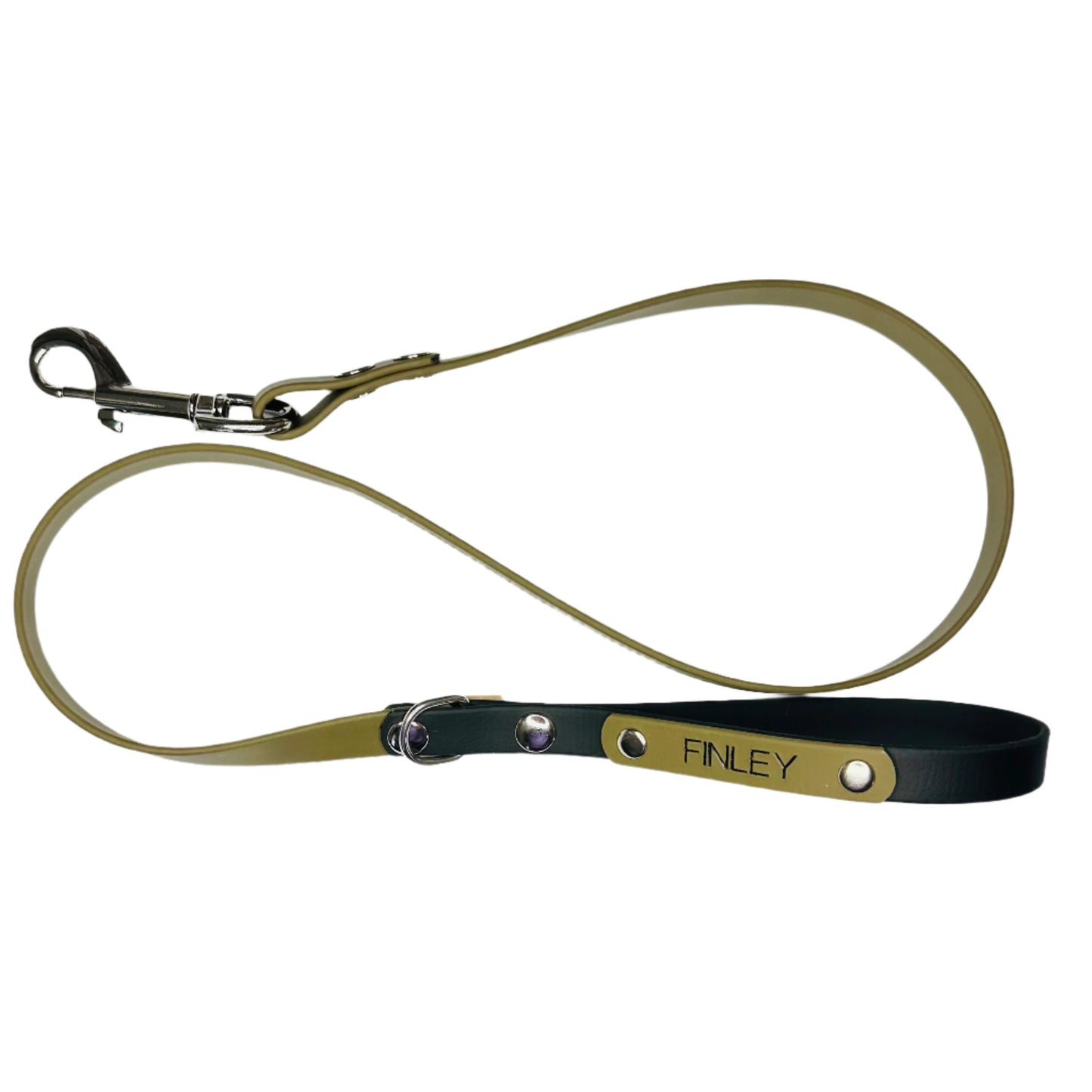 Custom Biothane Dog Lead