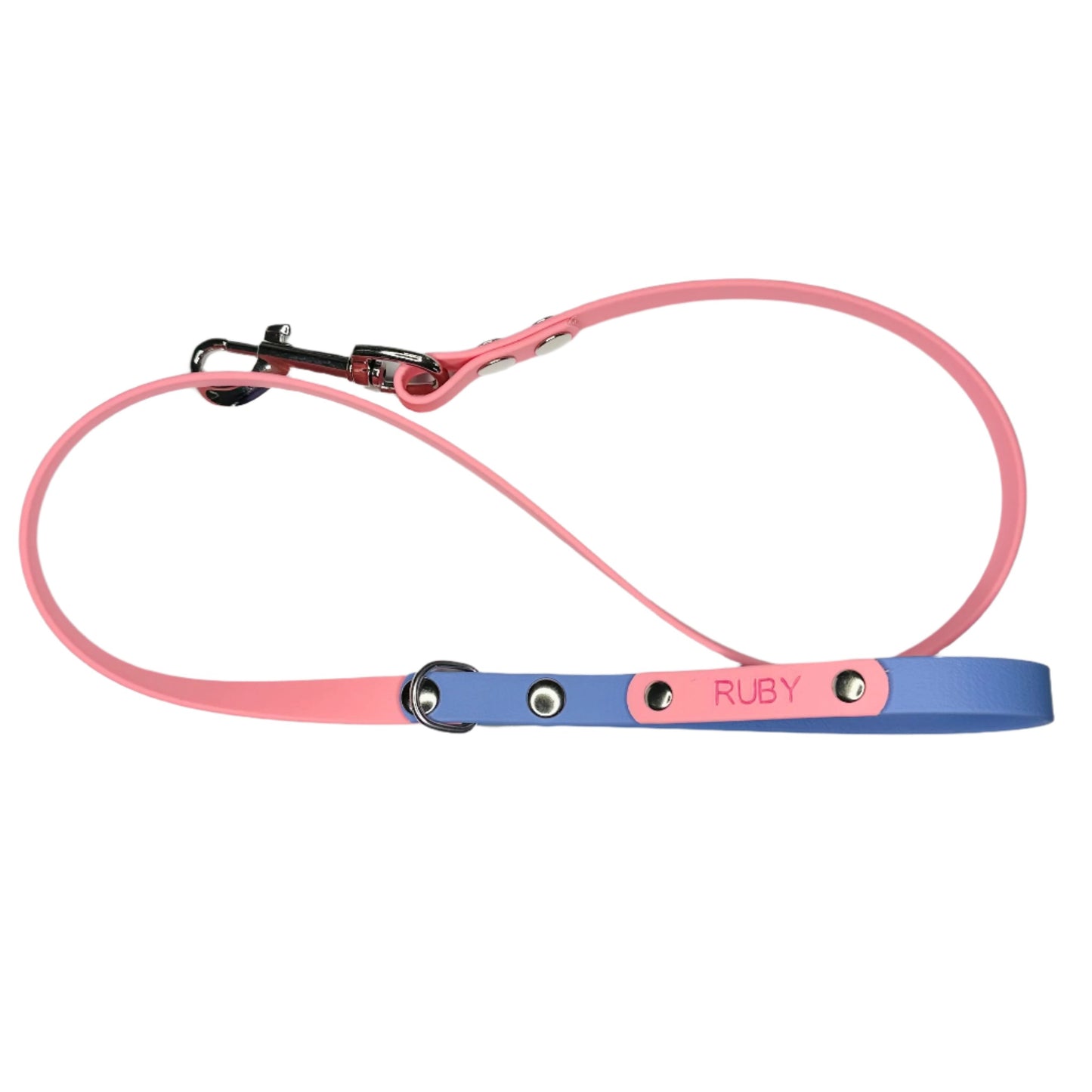 Custom Biothane Dog Lead