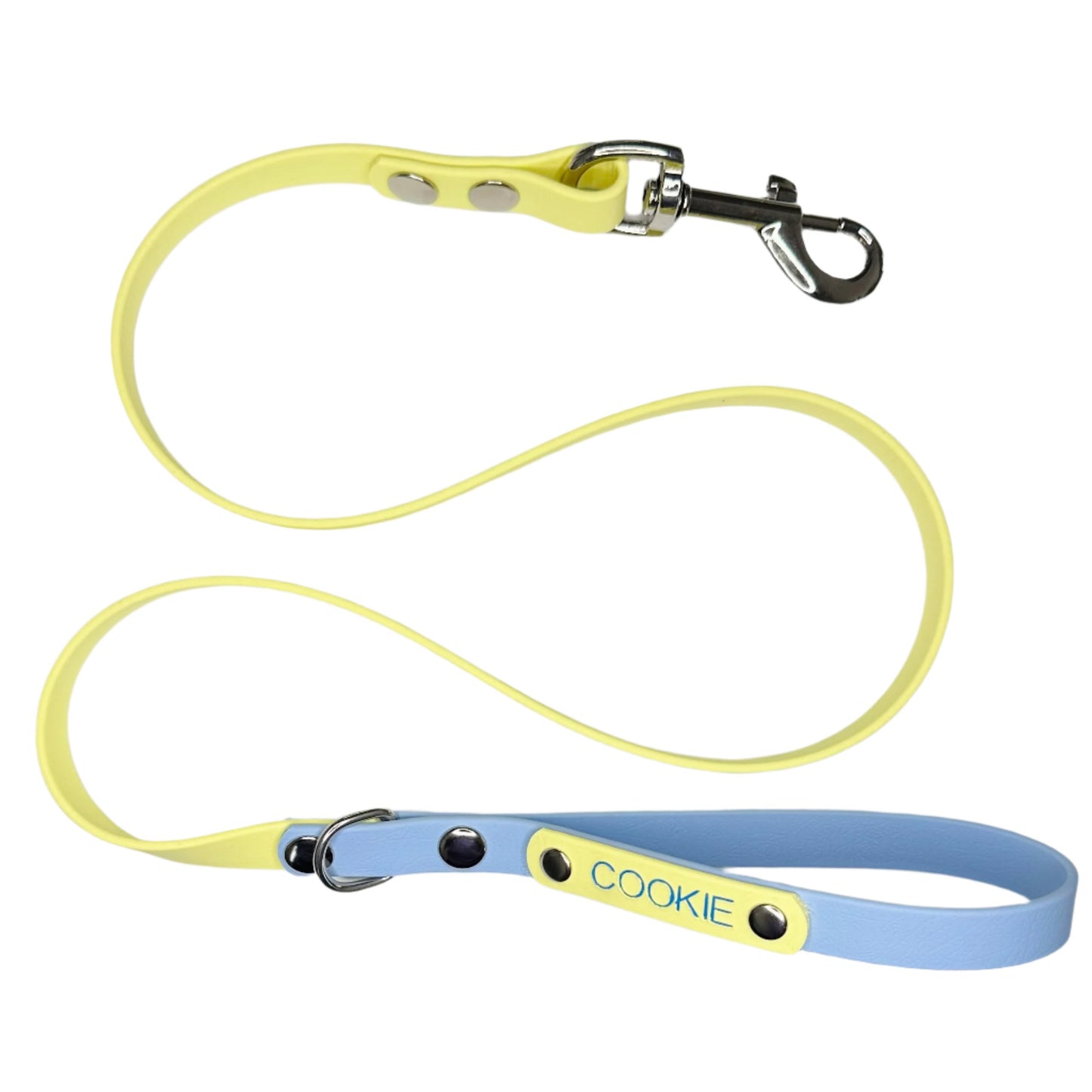 Custom Biothane Dog Lead