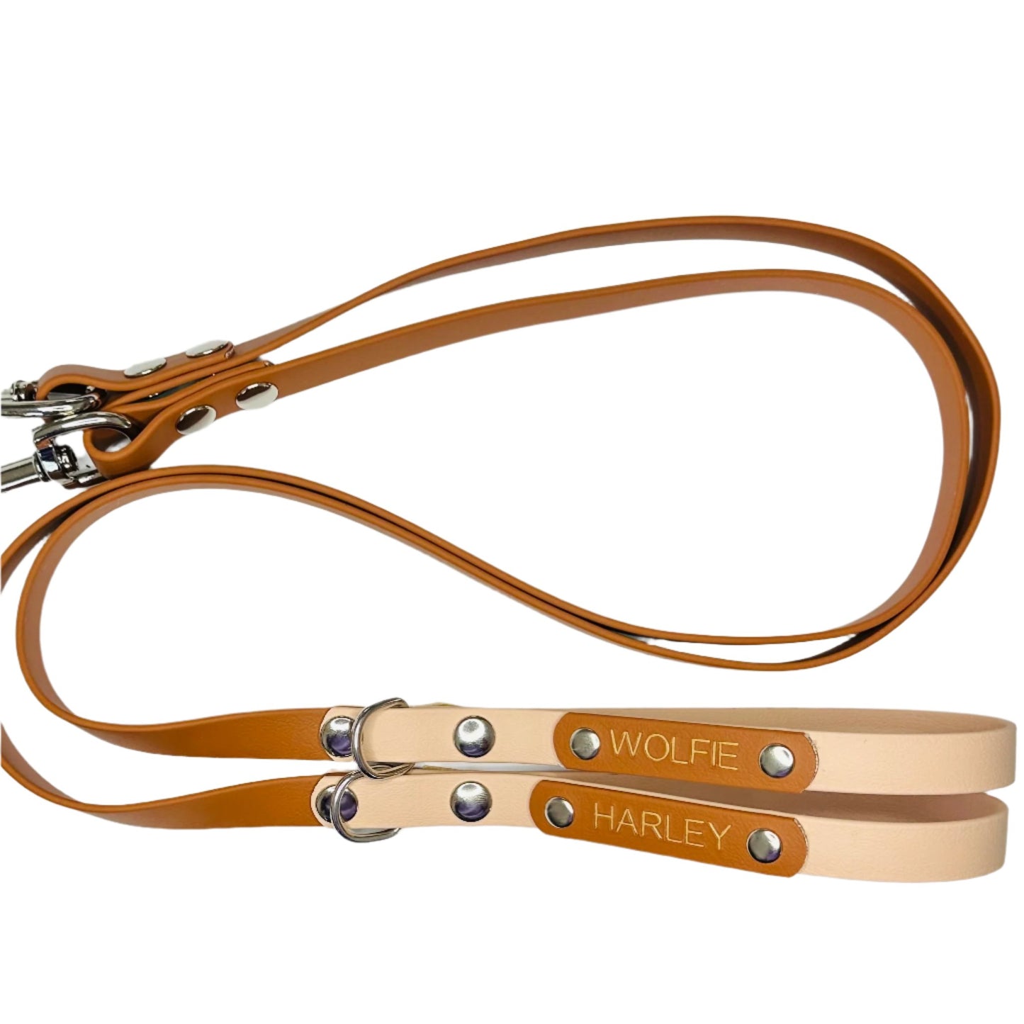 Custom Biothane Dog Lead