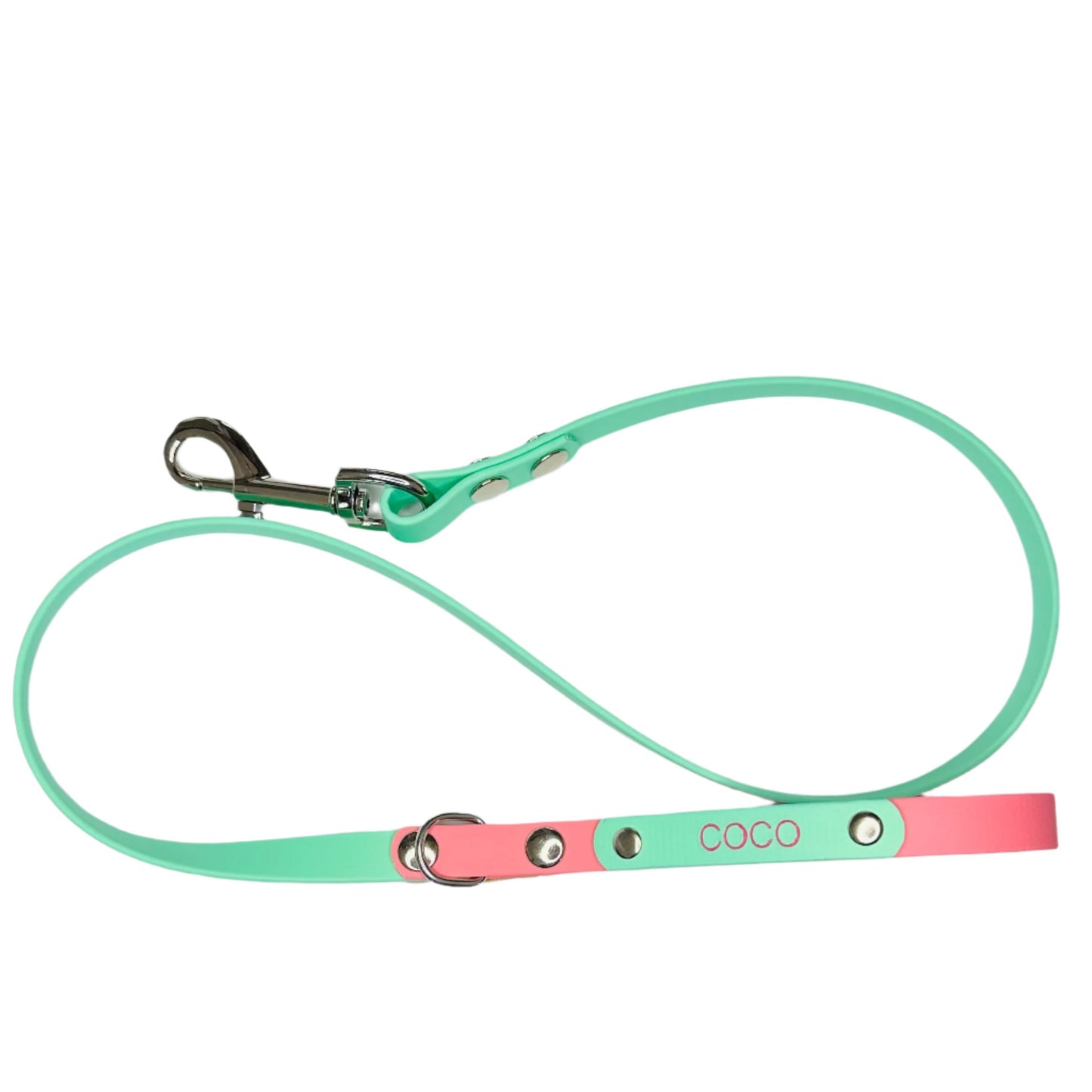 Custom Biothane Dog Lead