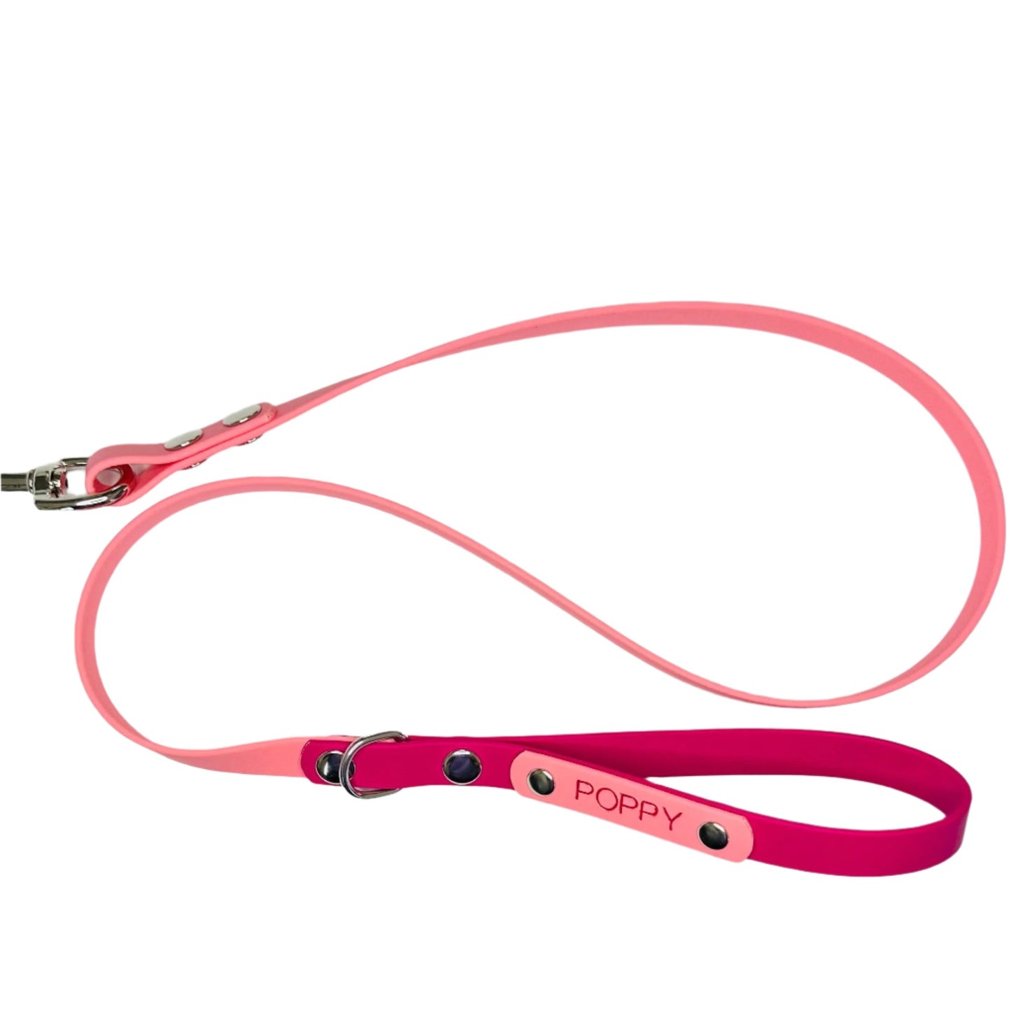 Custom Biothane Dog Lead