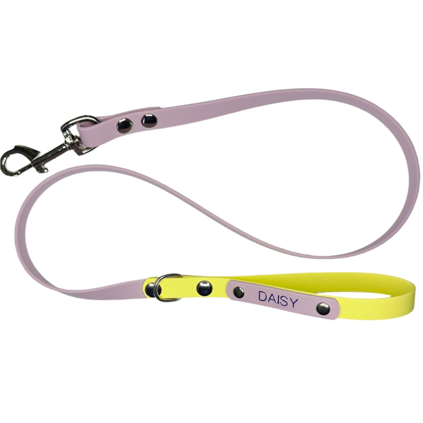 Custom Biothane Dog Lead