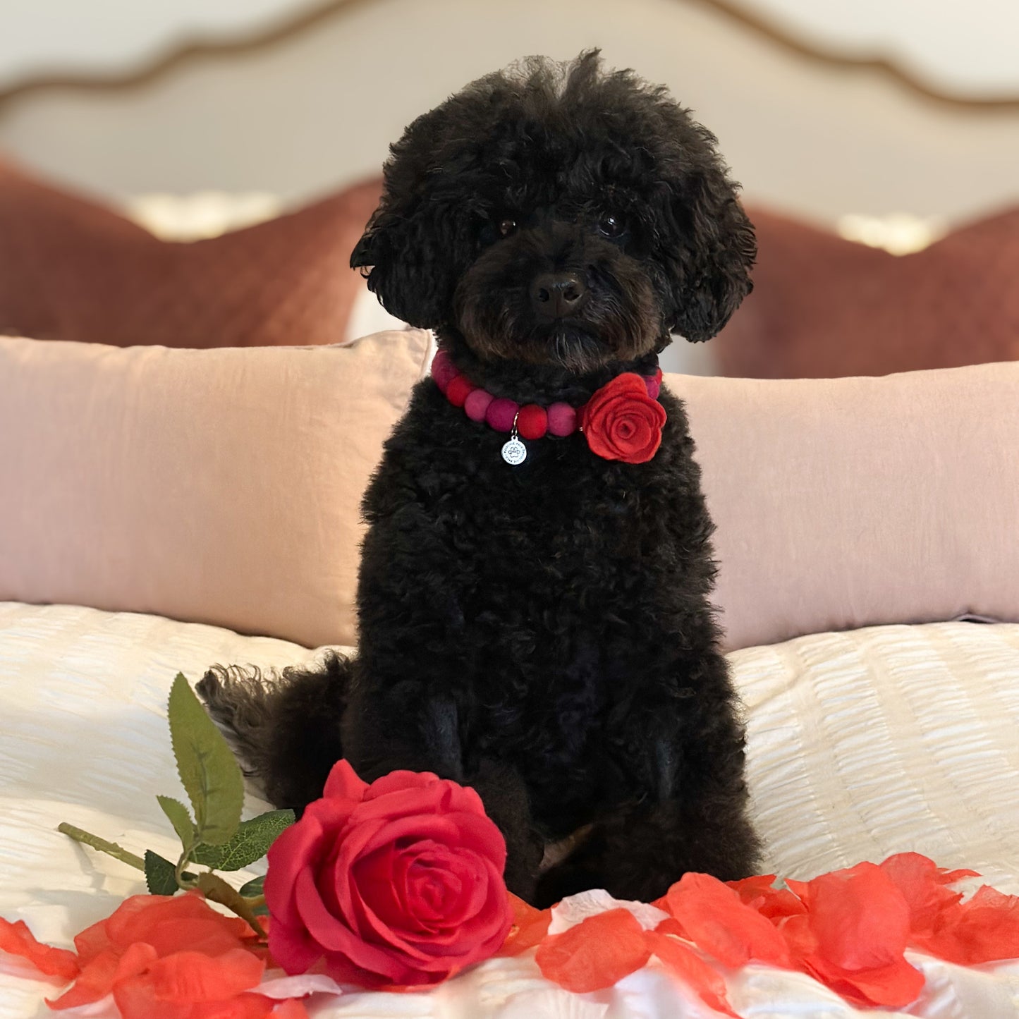 Red Rose Pom Pom Collar