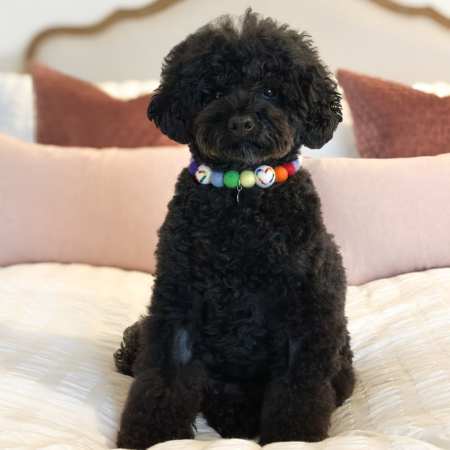 Rainbow Love Valentine Pom Pom Collar