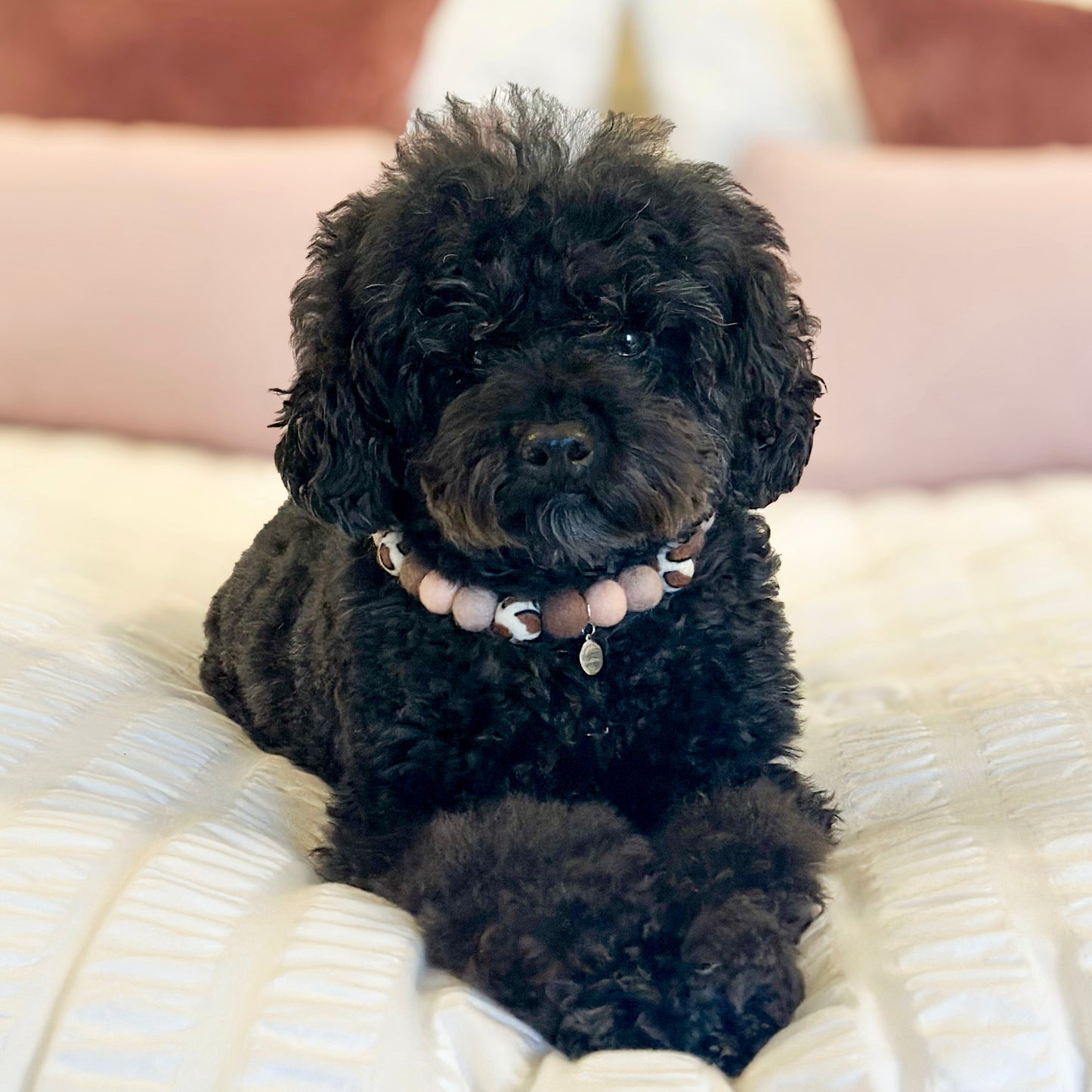 Leopard Pom Pom Collar